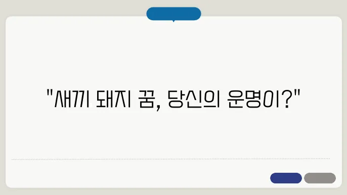 새끼 돼지 꿈 해몽