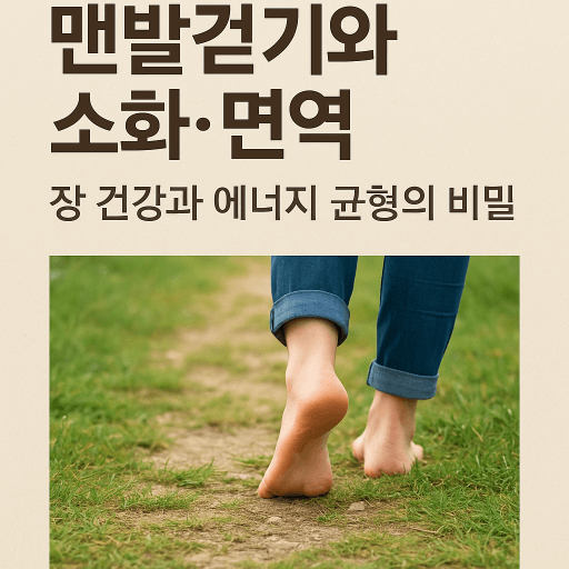 맨발걷기와 소화&middot;면역 : 장 건강과 에너지 균형의 과학적 비밀