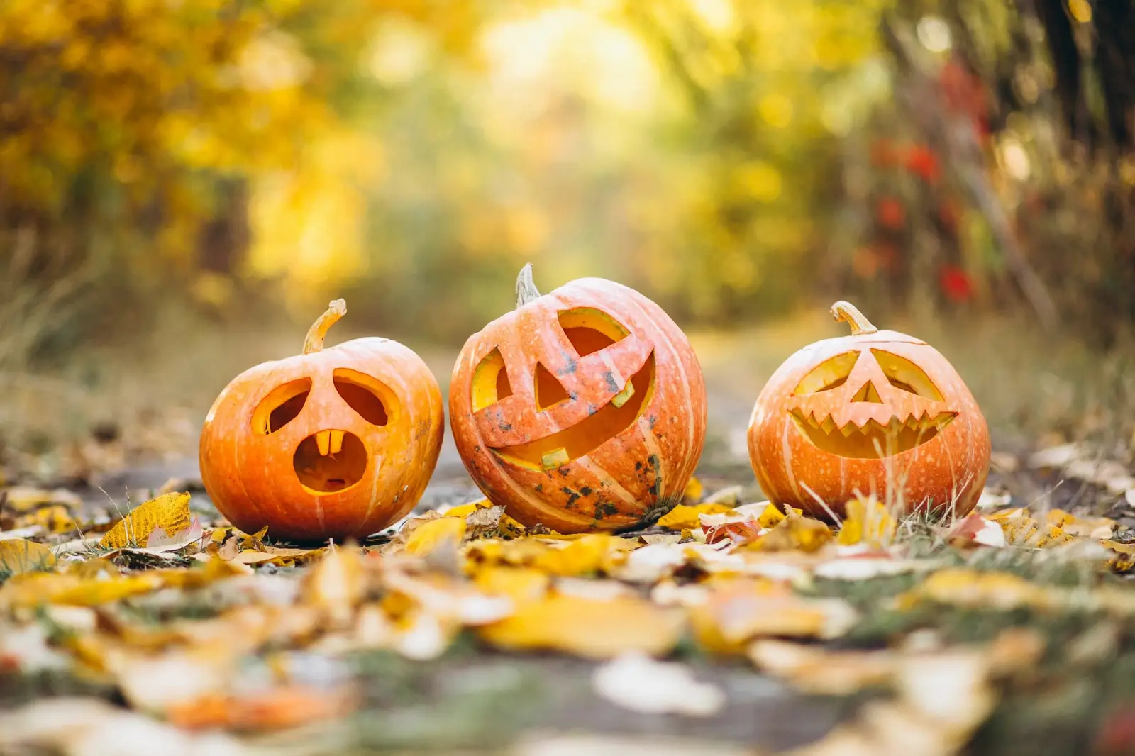 잭 오 랜턴(Jack O&#39;Lantern)