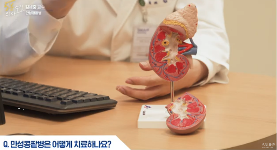 만성 콩팥병 치료