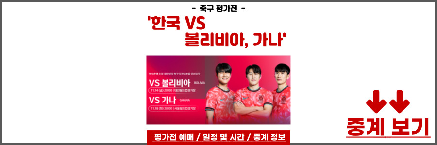 한국 축구 평가전