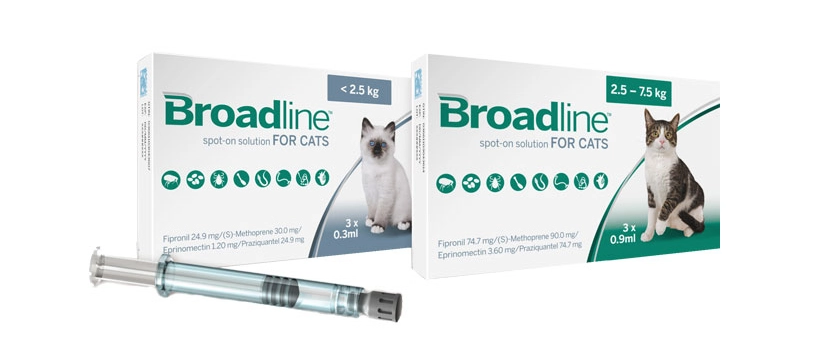 고양이-심장사상충약-브로드라인