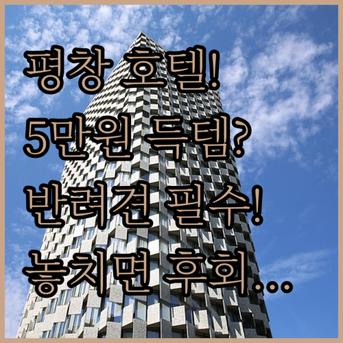 평창 숙소 고민 해결 5만원대부터 반..