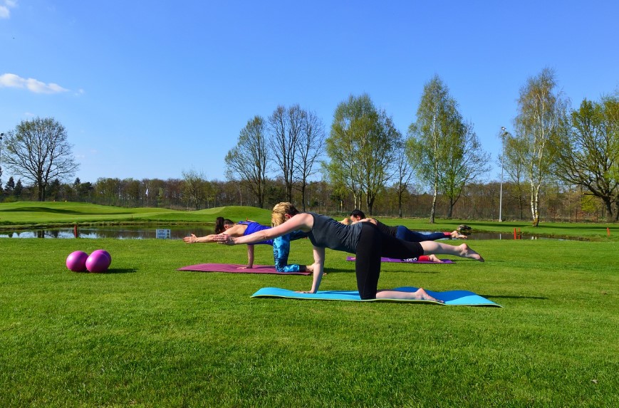 요가 관련 사진