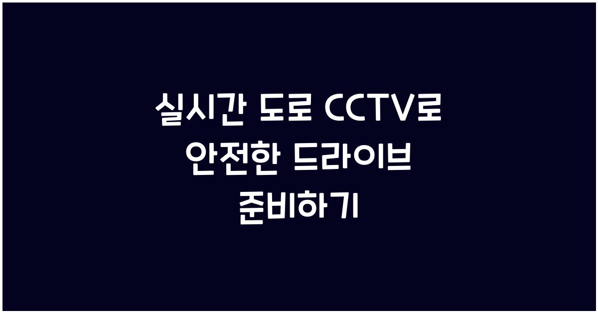실시간 도로 cctv