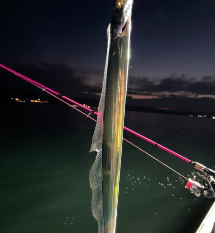 동해 갈치 배낚시