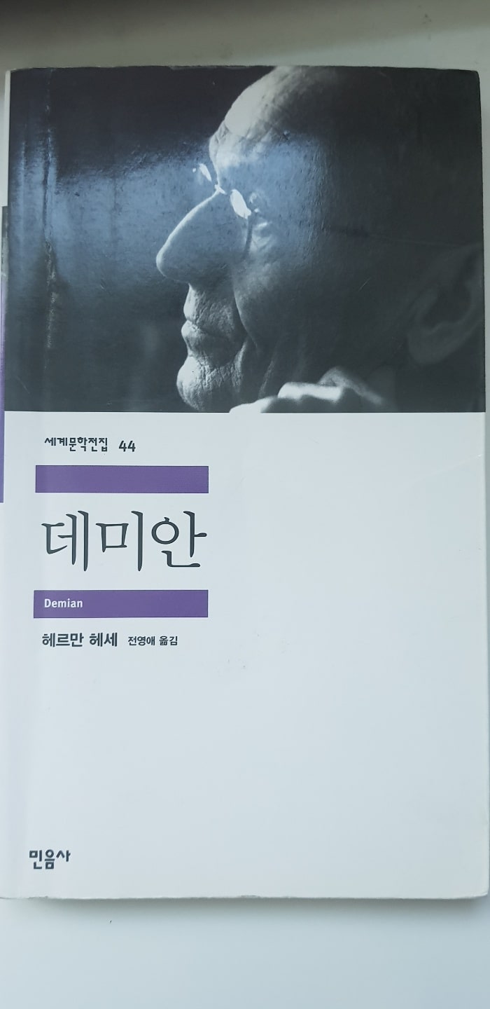 소설 책 데미안 표지의 모습