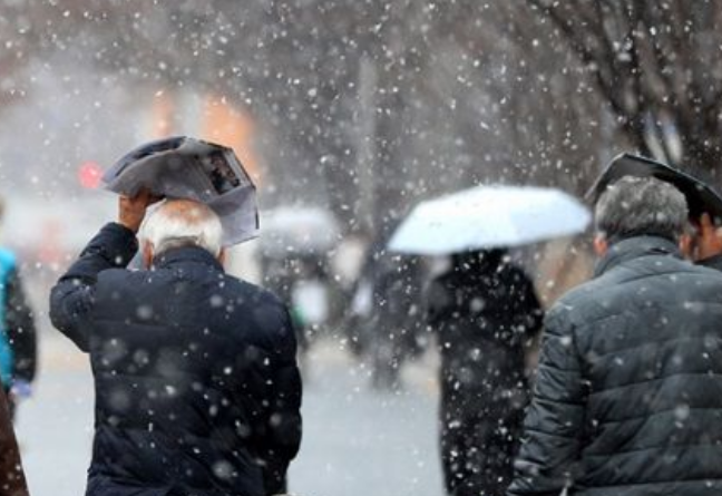 광양시 한랭질환 추정 사망자 증가