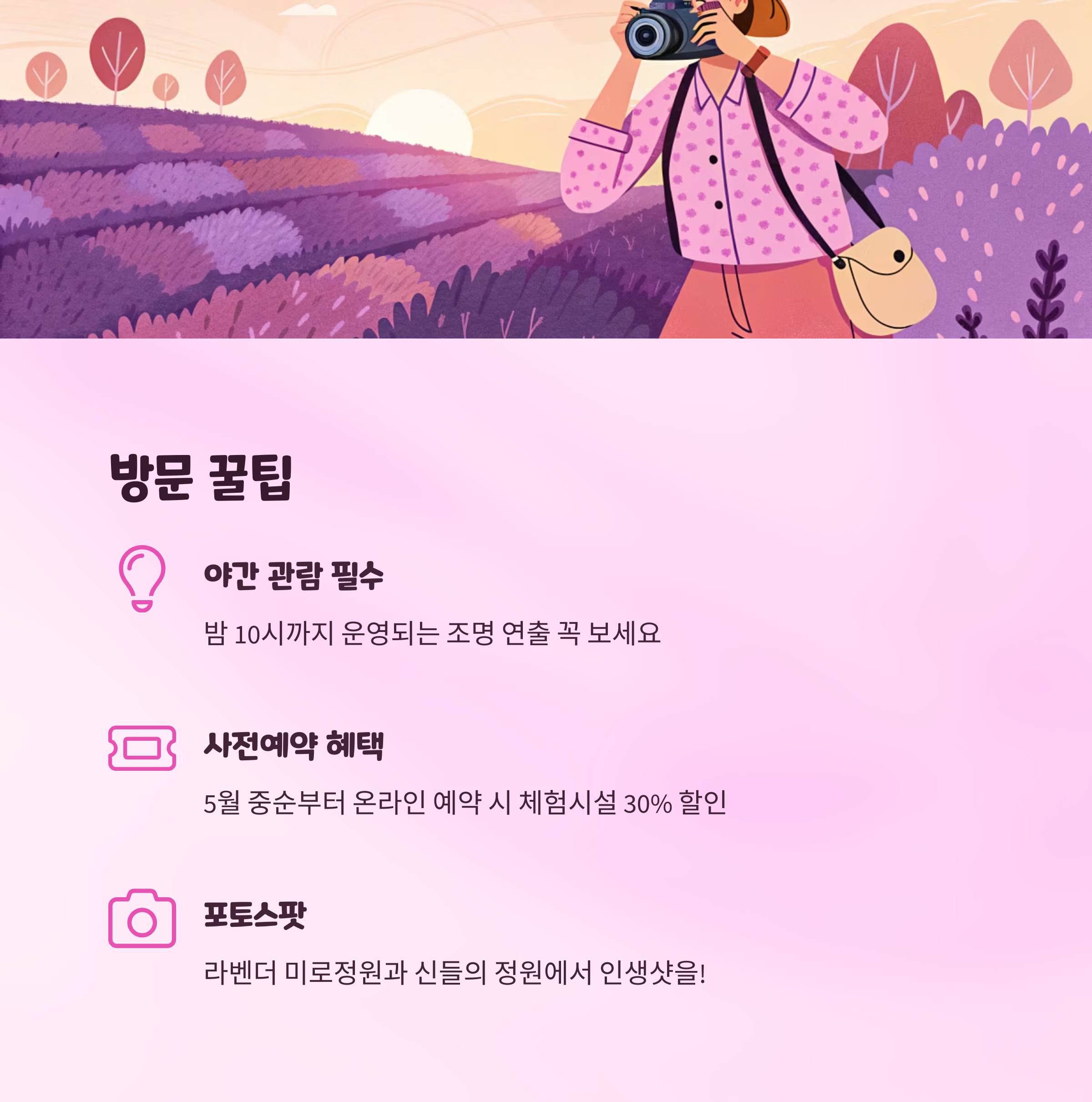 무릉별유천지 라벤더 축제 방문 팁