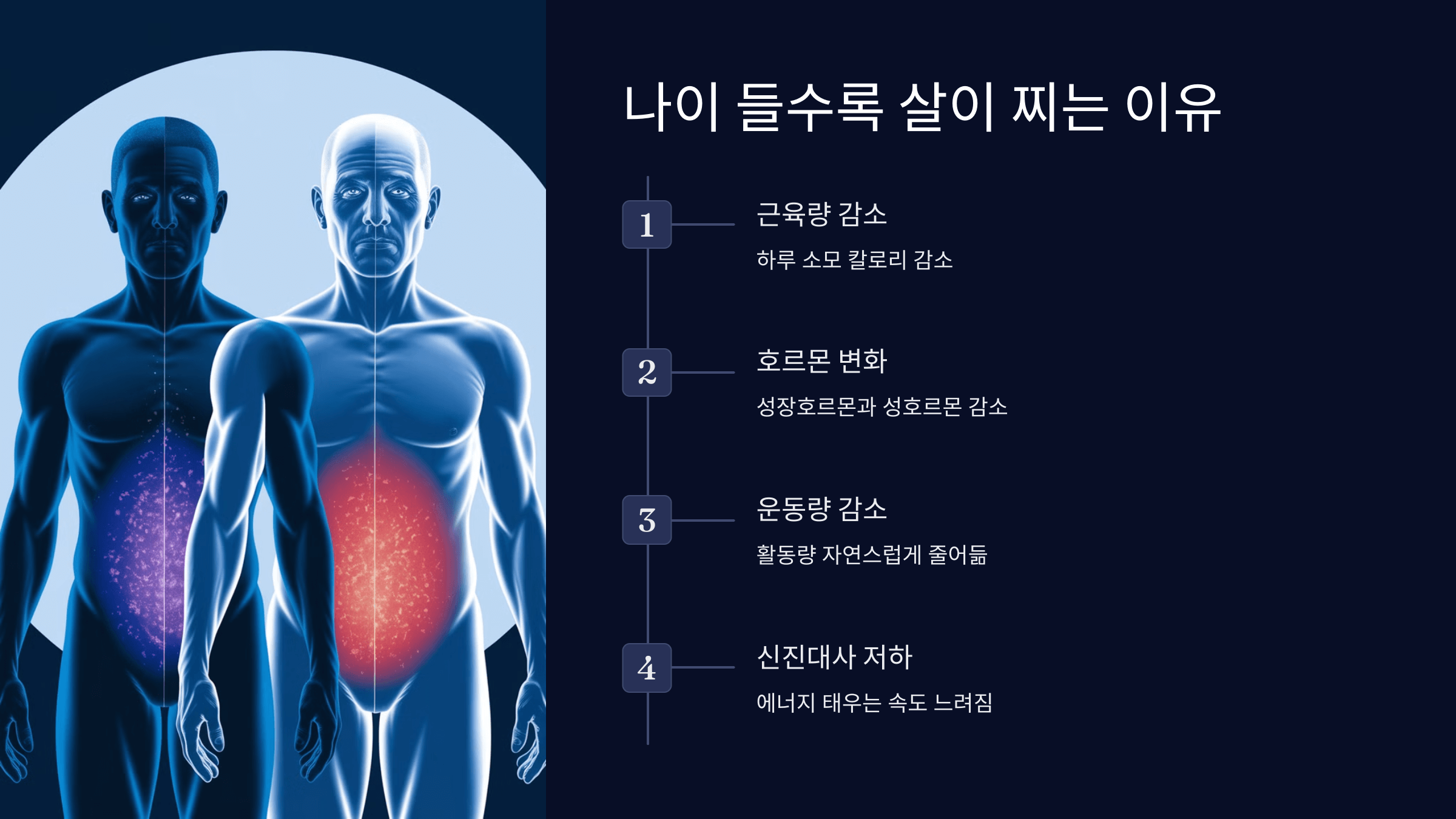 나이 들수혹 살이 찌는 이유