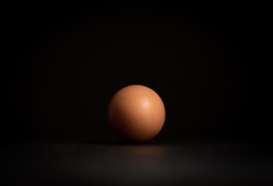 Egg
