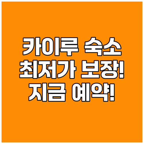 카이루 숙소 예약, 최저가 보장! 지