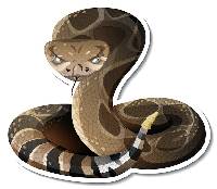 뱀 꿈해몽