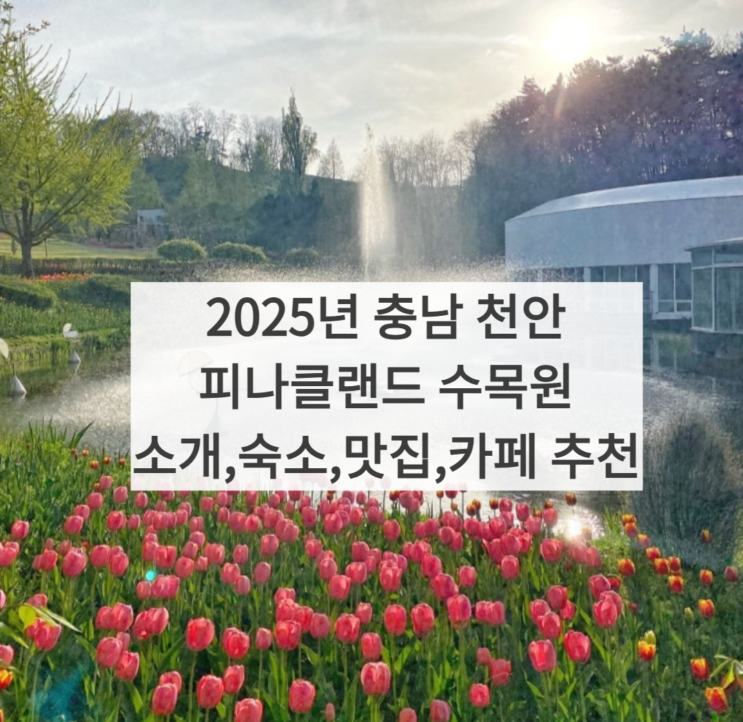 충남 천안 피나클랜드 수목원 썸네일 사진