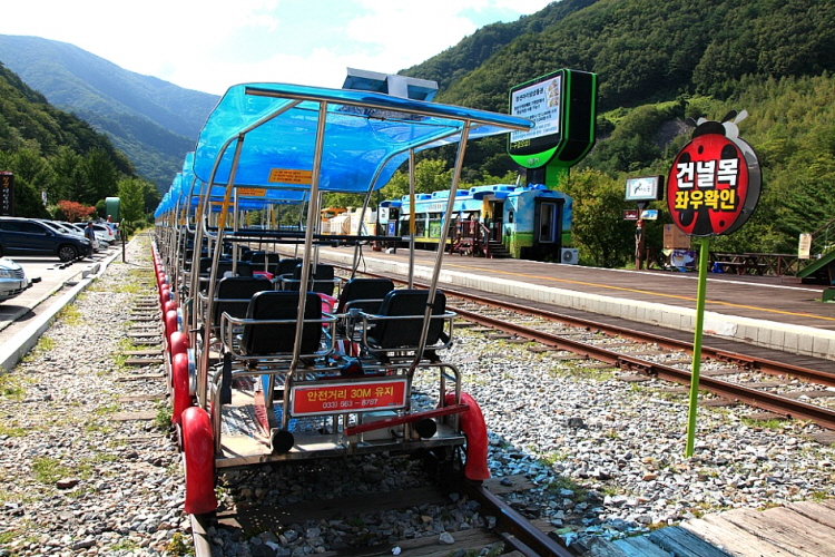 정선 레일바이크