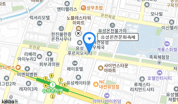 유성온천 문화축제 주차장