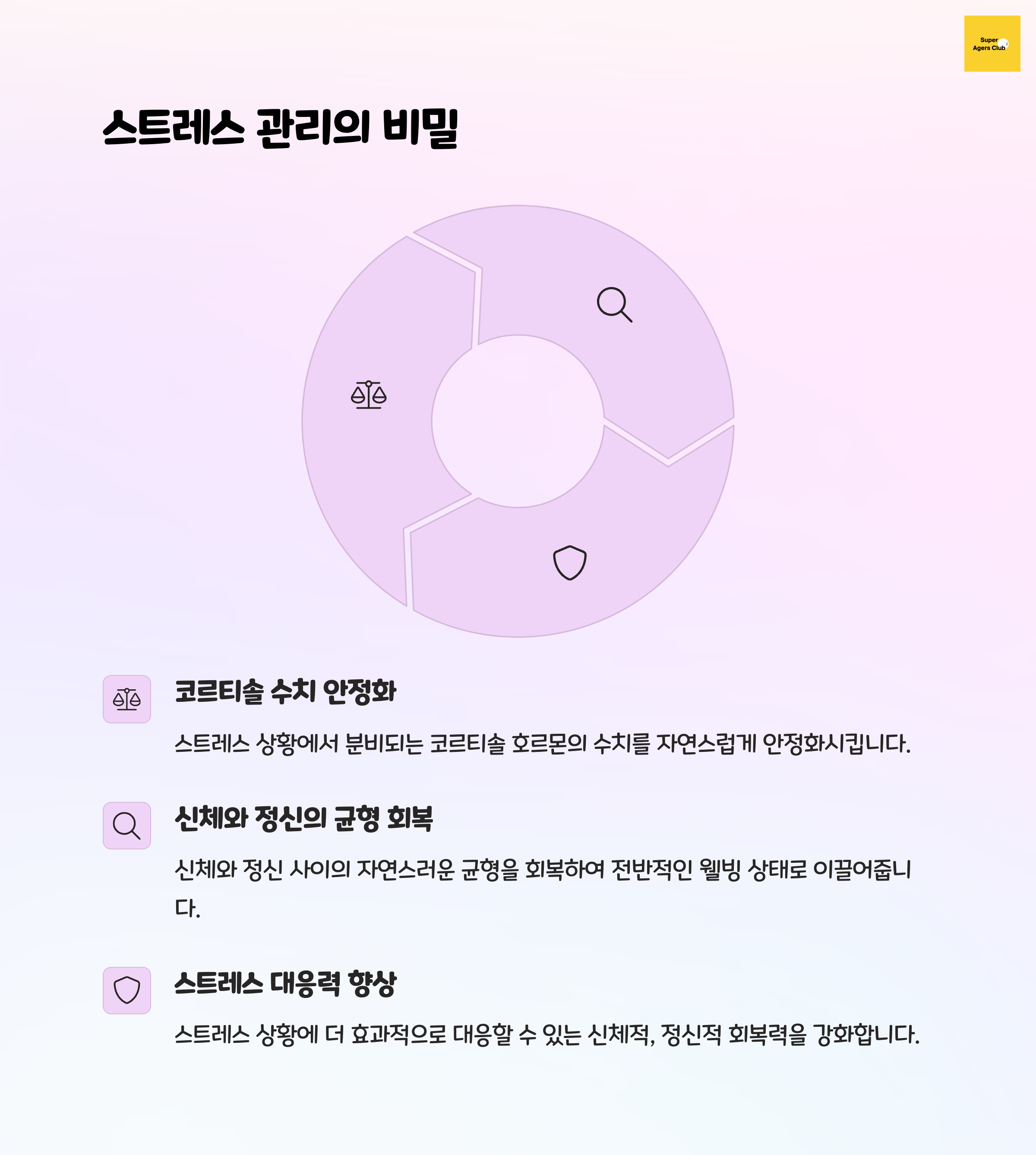 홍경천의 스트레스 관리 효과를 소개하는 이미지. 코르티솔 수치 안정화, 신체와 정신의 균형 회복, 스트레스 대응력 향상을 설명하는 도표와 텍스트 포함.
