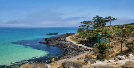 제주 렌트카 주의사항