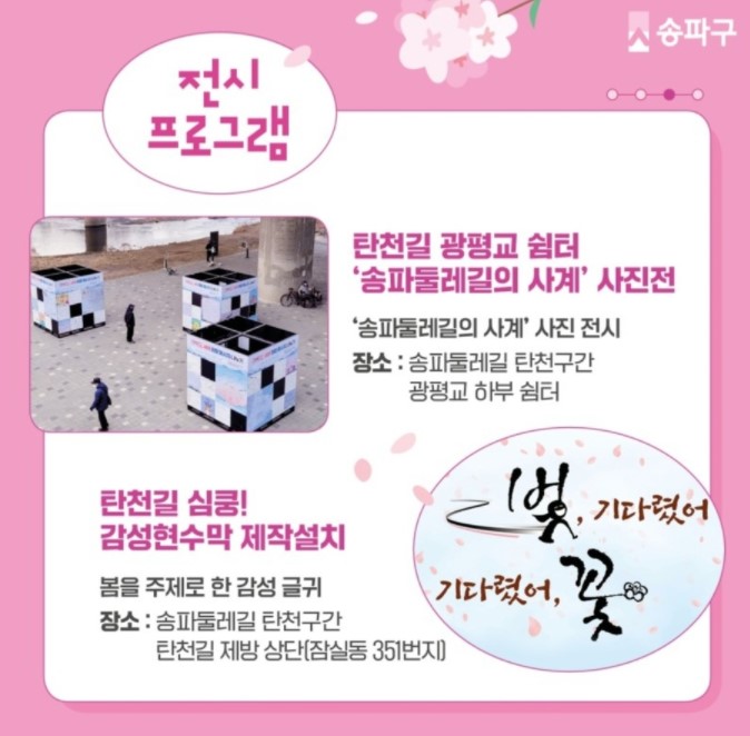 2022 벚꽃 축제