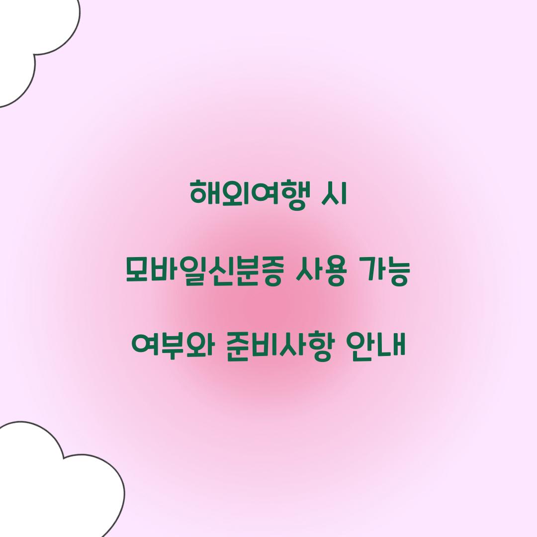 해외여행 시 모바일신분증 사용 가능 여부