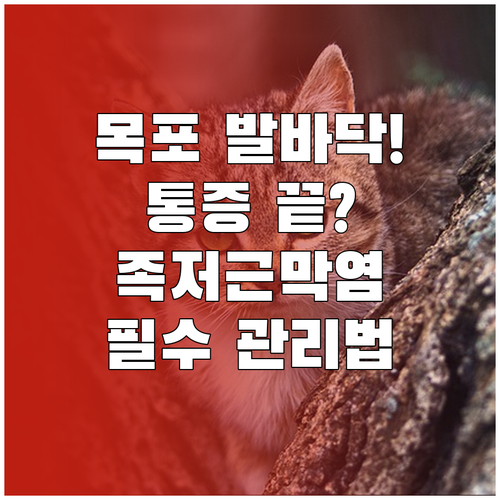목포 족저근막염 효과적인 치료법과 일..