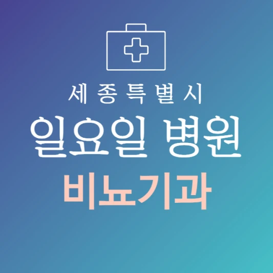 세종시-일요일-비뇨기과-문여는곳-주말에-진료하는-세종시-24시간-비뇨기과-병원