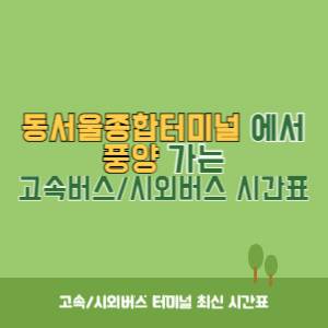 동서울종합터미널에서 풍양 방향 고속버스_시외버스 시간표 최신정보