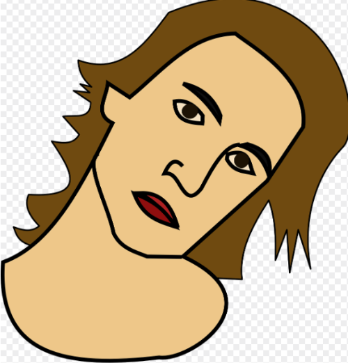 기운목 관련 사진