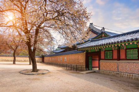 청와대－관람신청