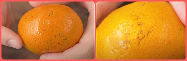 까만 점, 얼룩은 괜찮아요_백년밥상유튜브