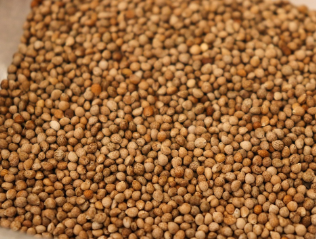 영양제 대신 먹는 음식 TOP10