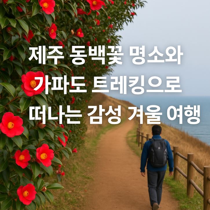 제주도 동백꽃 겨울여행 포스터 사진