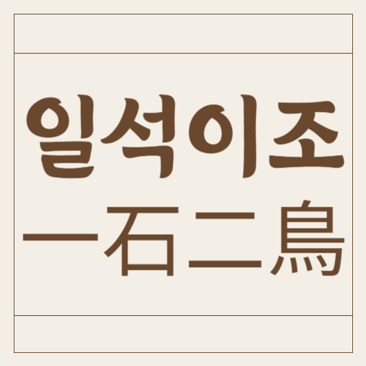 일석이조