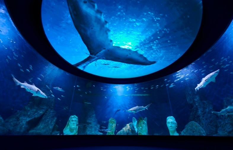 대전 엑스포 아쿠아리움
