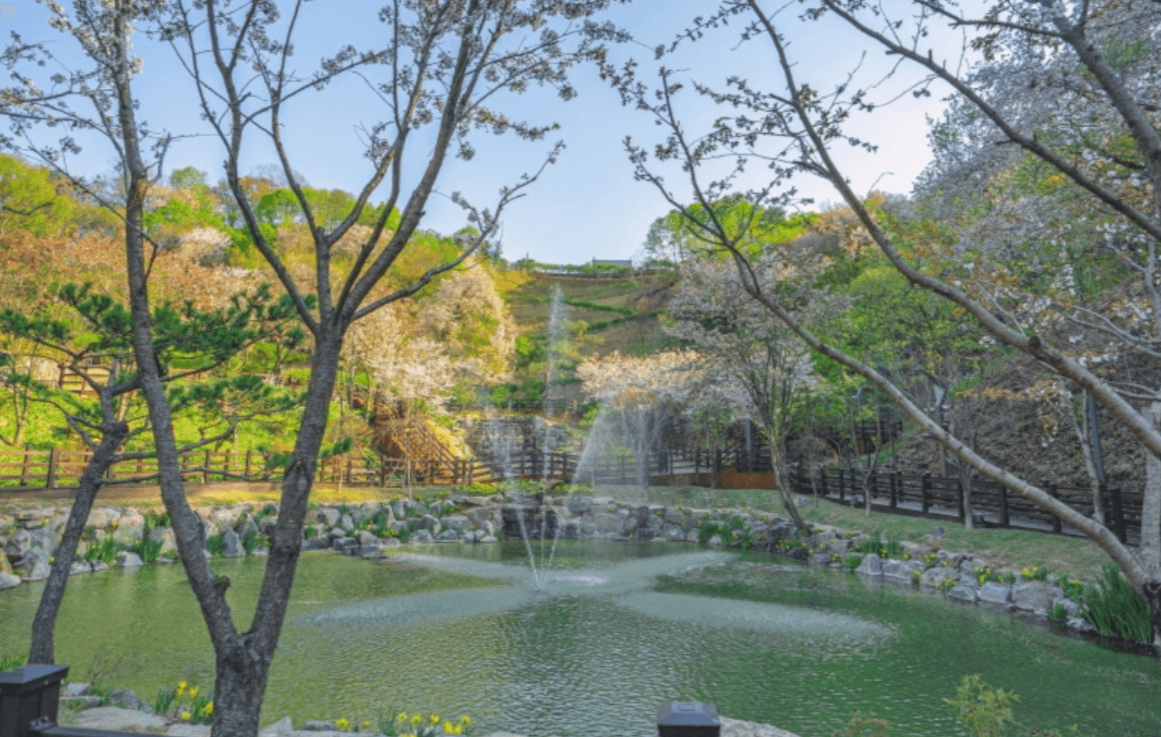 강원도 겨울 반려동물 애견 동반 여행지 추천