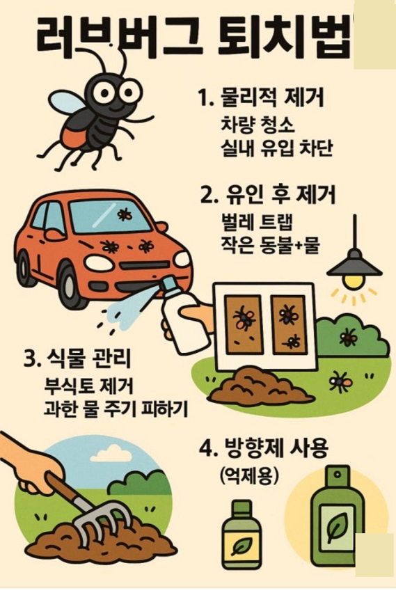 러브버그-퇴치법