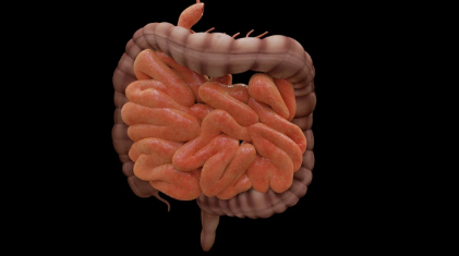 장 건강에 좋은 습관