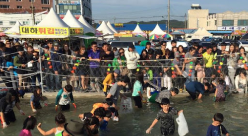 홍성 남당항 대하축제