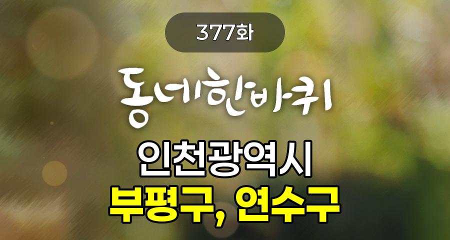 KBS 동네한바퀴 인천광역시 부평구, 연수구 377화 2026년 7월 4일 맛집 식당 업체 촬영장소 촬영지 정보, 열우물마을 공동체의 기억, 부평문화의거리 상인들의 연대, 80년 전통의 짜장면, 궁중 자수 공예명장, 청년 양조가의 맥주, 부평지하호 숨겨진 역사, 여름의 맛 민어 한 상, 폐지 재활용 활동가, 떡향기