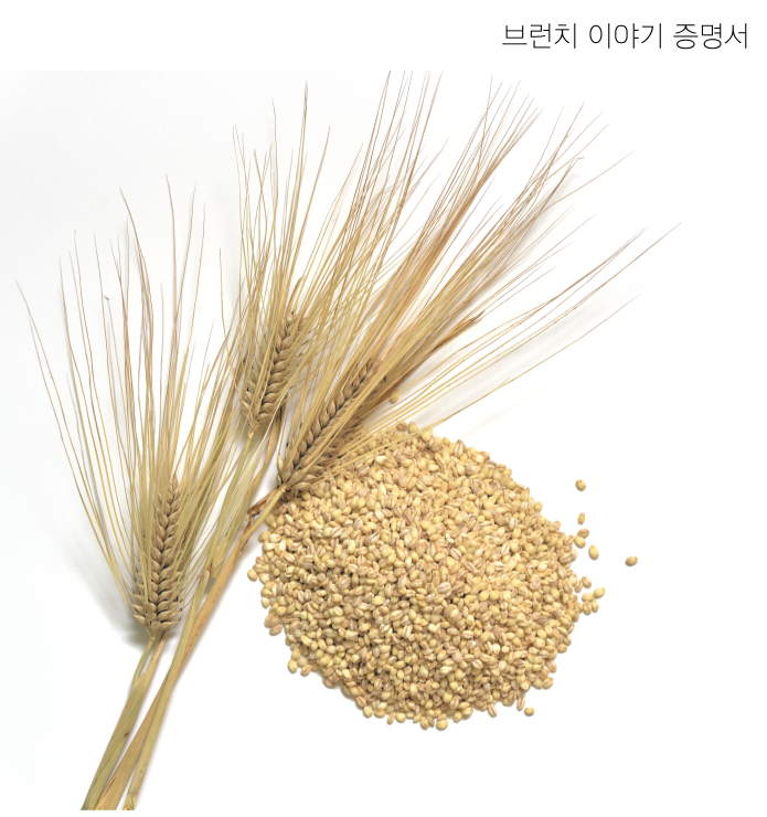 보리와 보리쌀