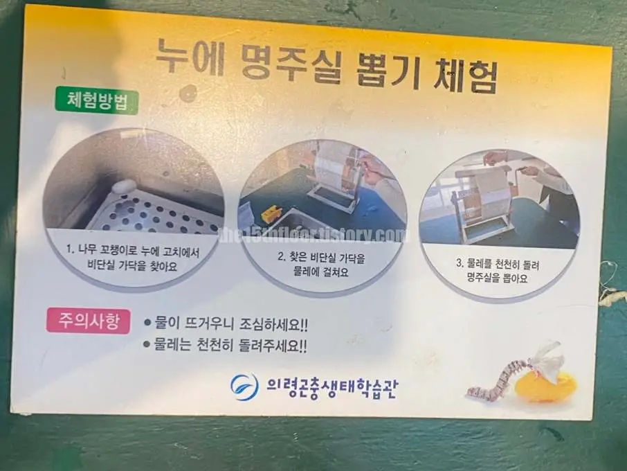 경남 의령 &amp;#39;의령 곤충생태학습관&amp;#39; (2층 &amp;#39;곤충 탐구관&amp;#39;)