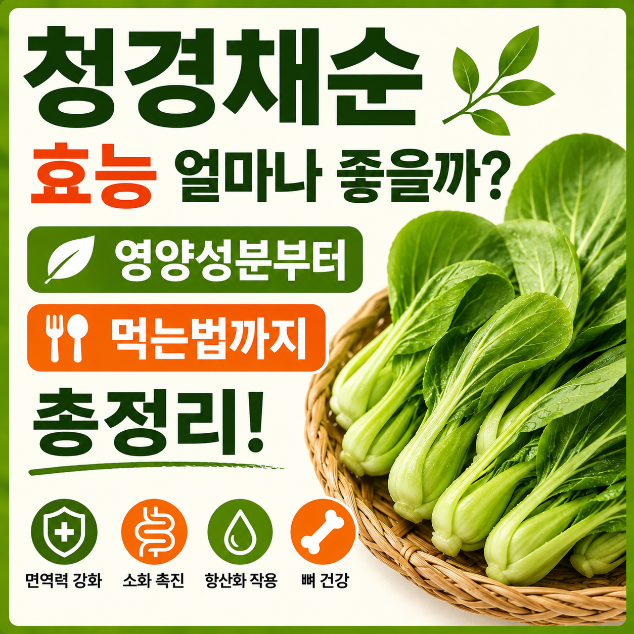 청경채순 효능
