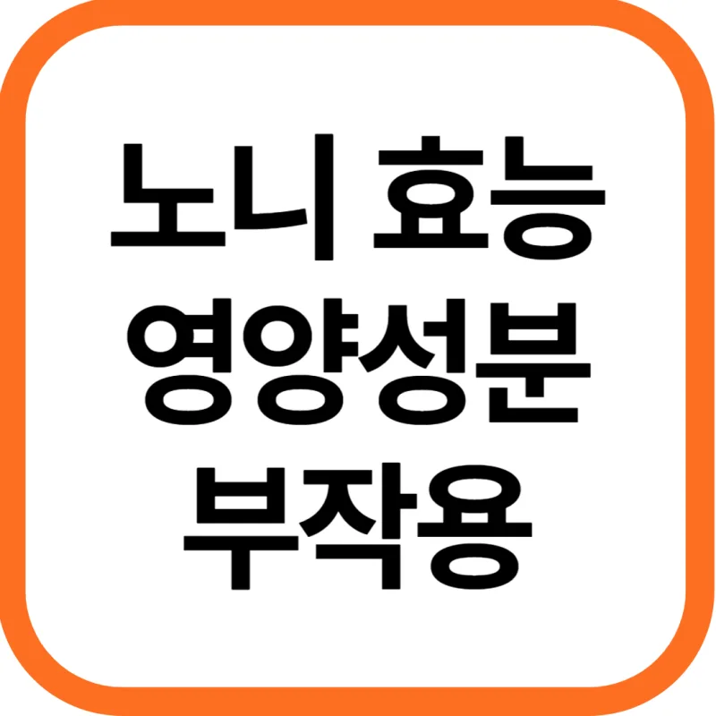 노니 효능 및 영양성분&#44; 부작용과 주의점