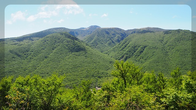 새해 맞이 한라산 야간 탐방예약안내 이용요금