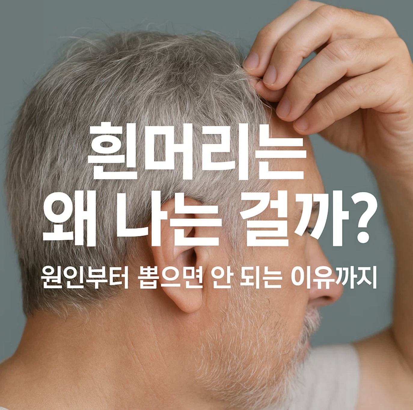흰머리는 왜 나는 걸까? 원인부터 뽑으면 안 되는 이유까지