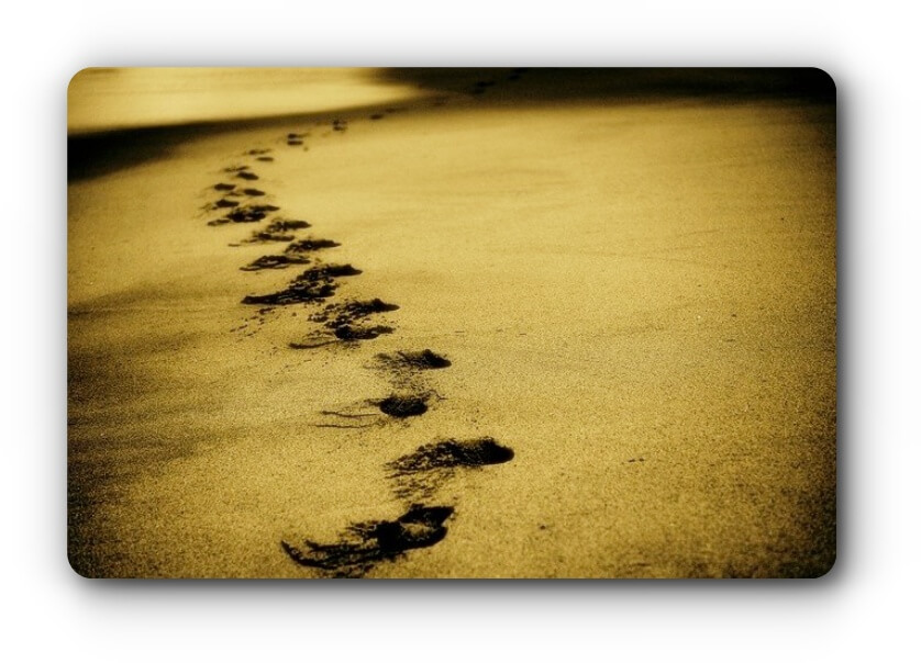 접미사 gress는 가다 의미