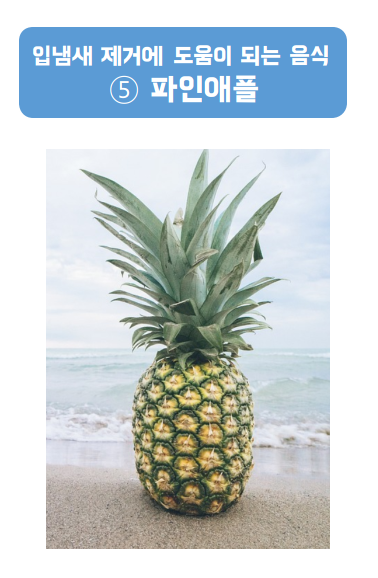 혀의 설태를 없애주는데 도움이 되는 파인애플
파인애플 하나가 바닷가에 서있다.