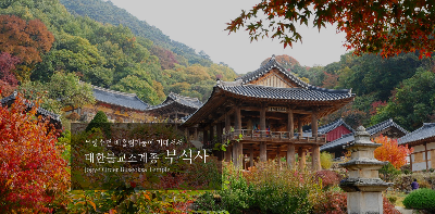 2025 경북영주 풍기인삼축제 일정 초대가수 축제꿀팁 정리