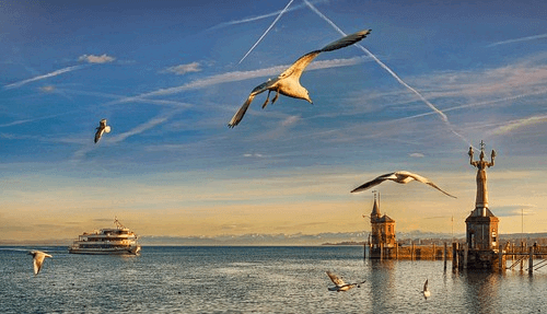 바다에 큰 배가 떠 있고 하늘엔 갈매기들이 날아다닌다.