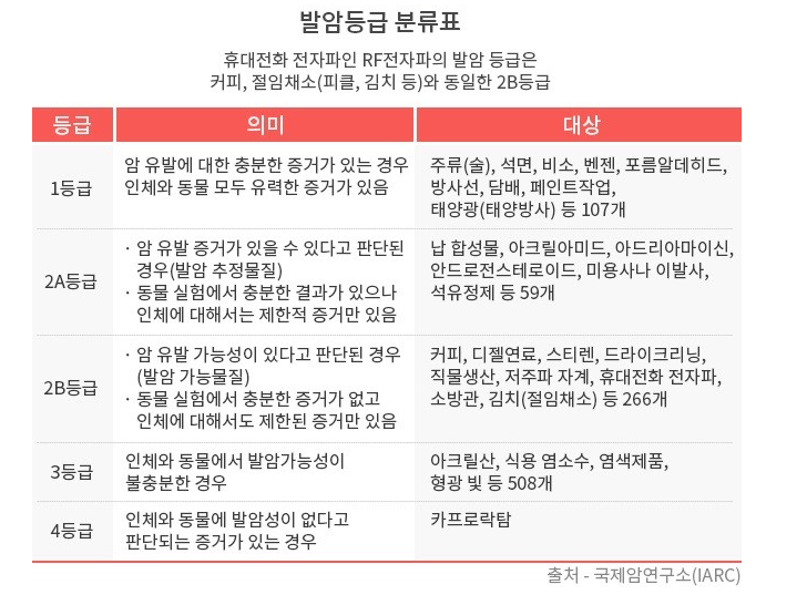 전기장판 EMF 임산부 전자파 단점